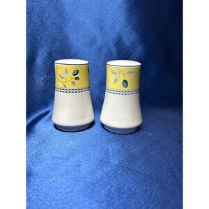 Vintage Royal Doulton Blueberry Yellow and White Salt and Pepper Shakers